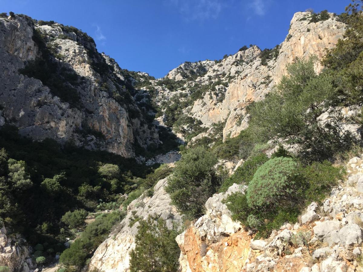 Aparthotel Cav Mameli Dorgali Esterno foto